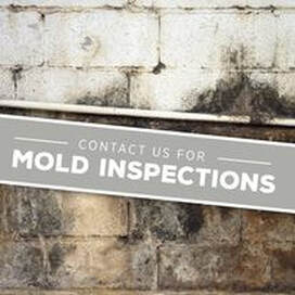 Mold removal sign