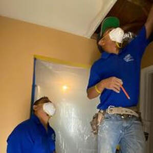 Mold removal Agents