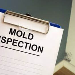 Mold inspection sign