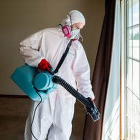 Mold Removal Man